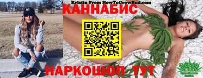 шишки Канаш