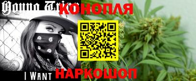 шишки Канаш