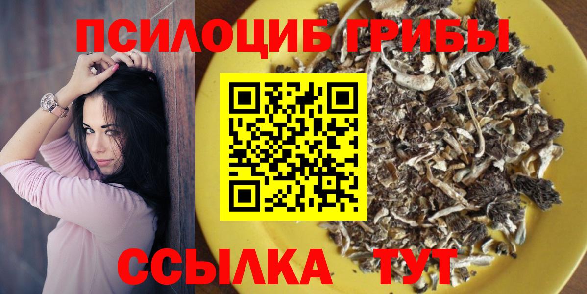 Галлюциногенные грибы Psilocybe  Вход с VPN  Юрга  Псилоцибиновые грибы Psilocybe 