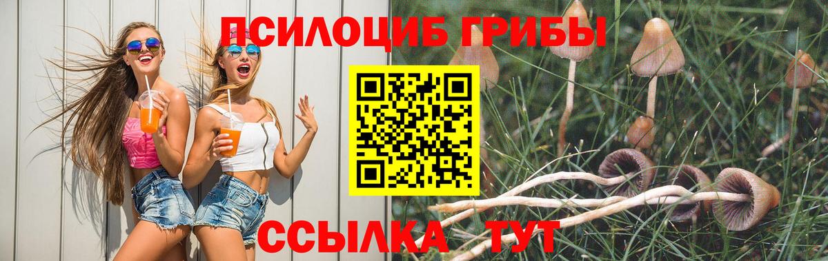 Псилоцибиновые грибы Psilocybine cubensis Юрга